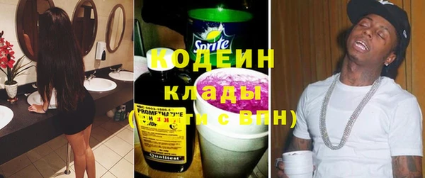 spice Дмитриев
