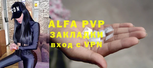 spice Дмитриев