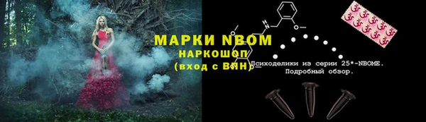spice Дмитриев