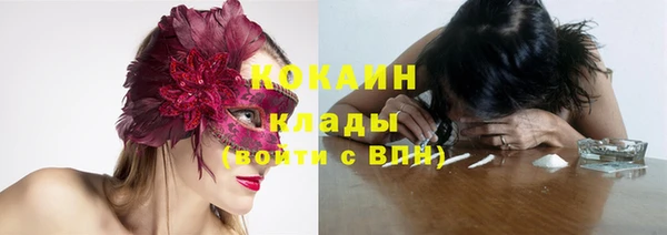 spice Дмитриев