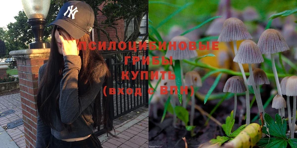PSILOCYBIN Валдай
