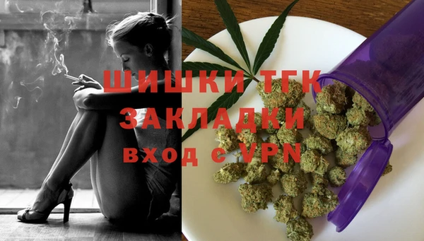 spice Дмитриев
