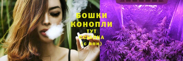spice Дмитриев