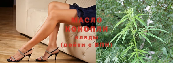 spice Дмитриев