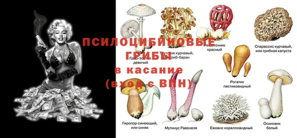 первитин Дмитров