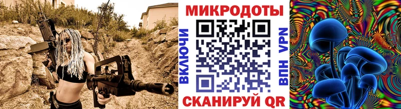 Псилоцибиновые грибы Psilocybe  Киржач 